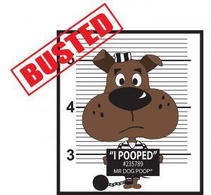 Dog busted for poop violation